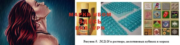 мяу мяу мука Корсаков
