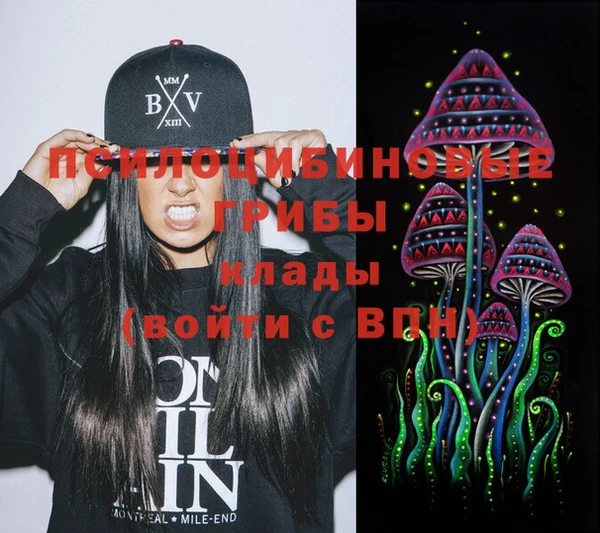 мяу мяу мука Корсаков