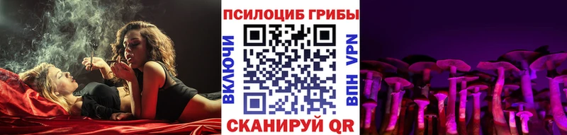 Купить  Анжеро-Судженск  Псилоцибиновые грибы MAGIC MUSHROOMS 